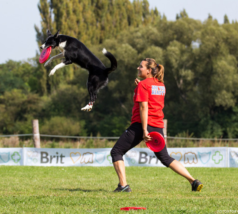 frisbee_seminar